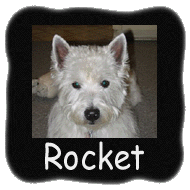 Rocket 2005