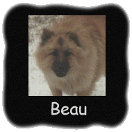 Beau