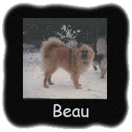 Beau