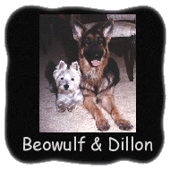 Beowulf & Dillon
