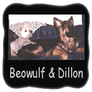 Beowulf & Dillon