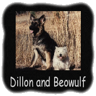 Dillon and Beowulf