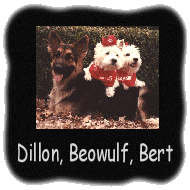 Dillon, Beowulf, Bert