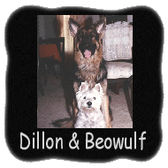 Dillon & Beowulf