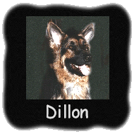 Dillon