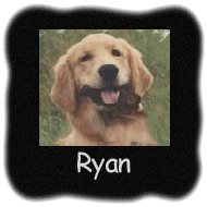 Ryan