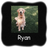 Ryan