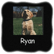 Ryan