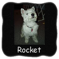 Rocket 2005