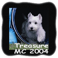 Treasure 2004